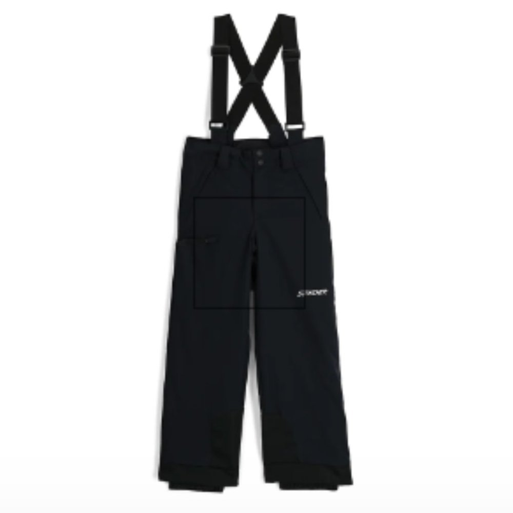 Spyder Ski Pants